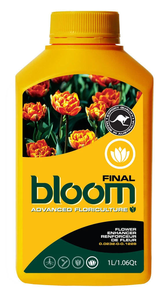 Bloom <span>Final</span>