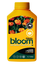 Bloom Final