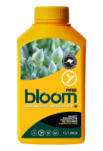 Bloom Pre