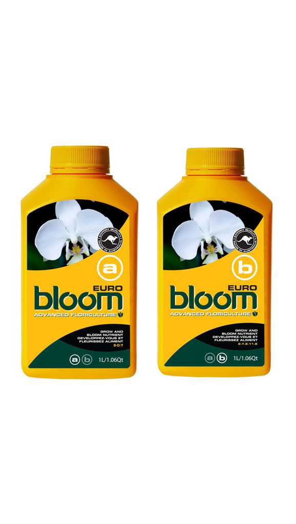 Bloom <span>Euro A & B</span>