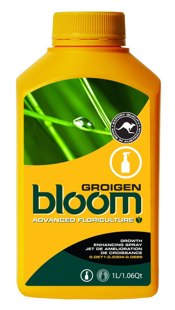 Bloom <span>Groigen</span>